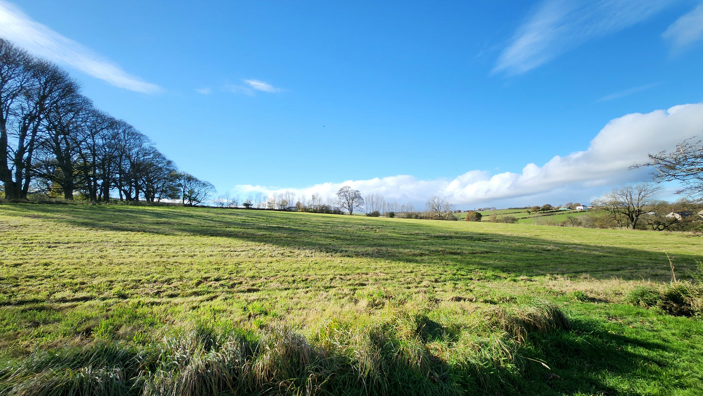Briardene, Lanchester (SOLD)